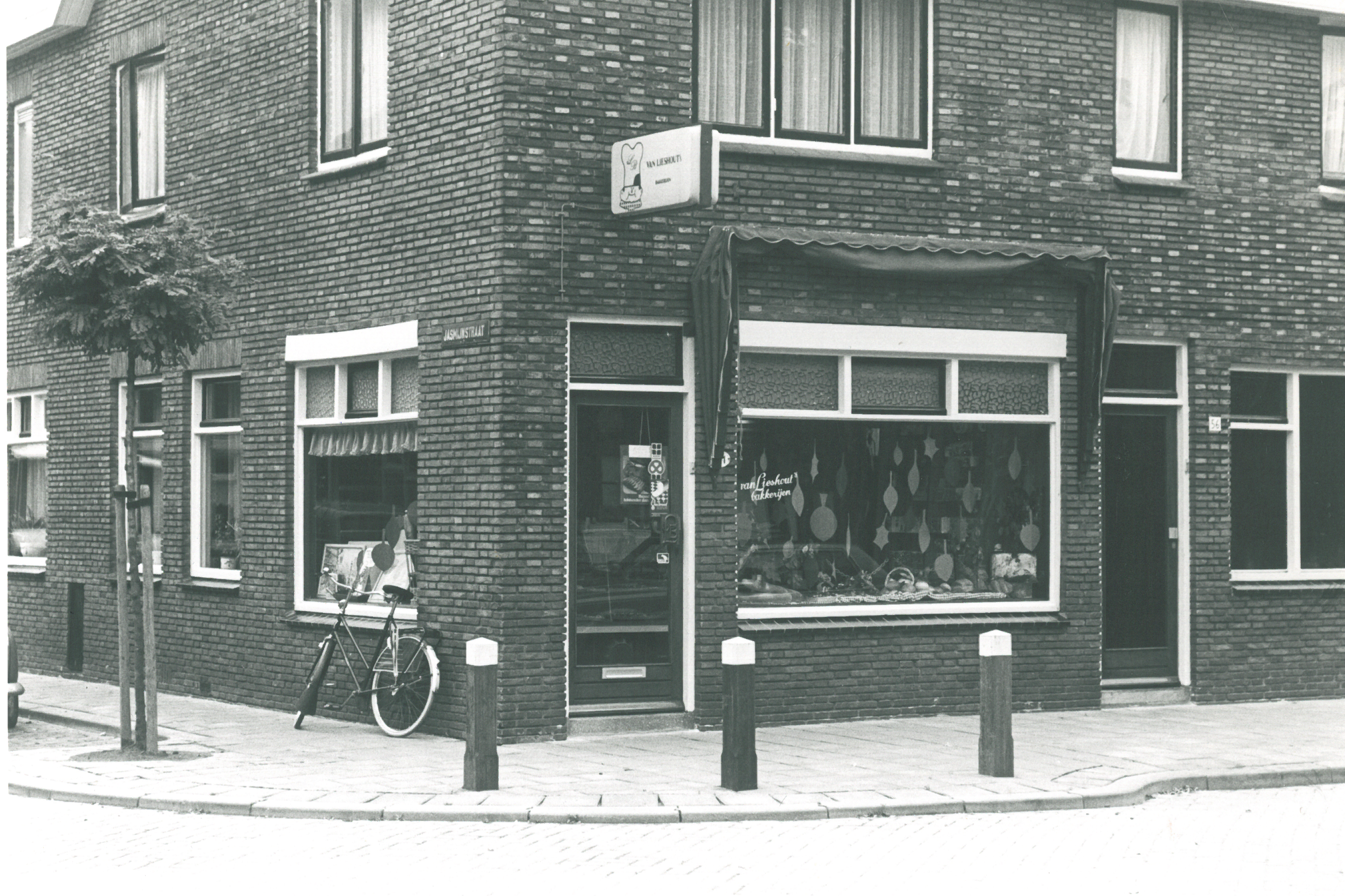 1955